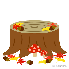 クリスマスまであと59日——気づけば年末の足音